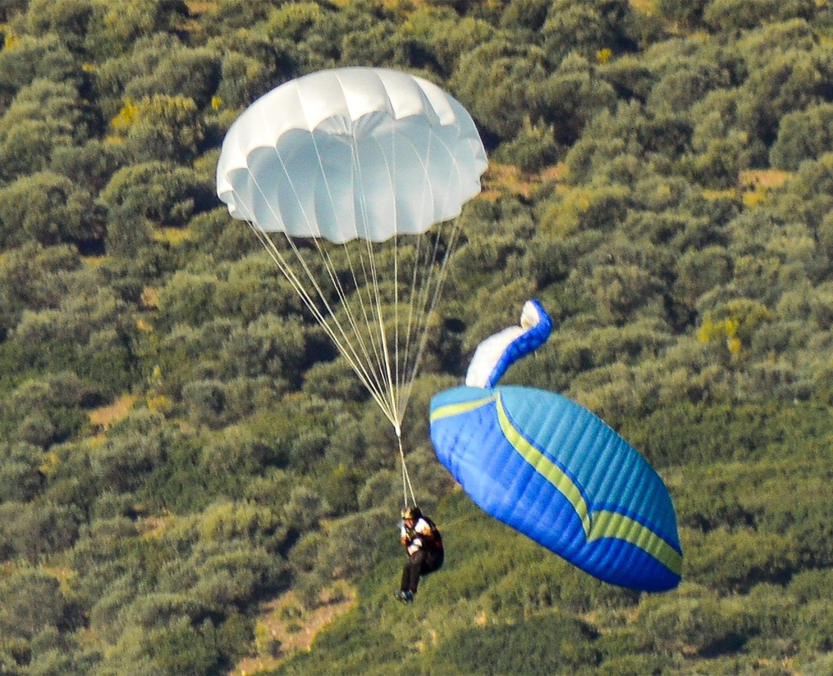 obeliskバタフライＧジャン Yu-Gi-Oh! Ju-Ko-Cho-Dai Obelisk the Tormentor Egyptian God