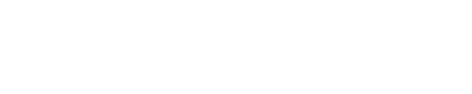 Z-ALPS