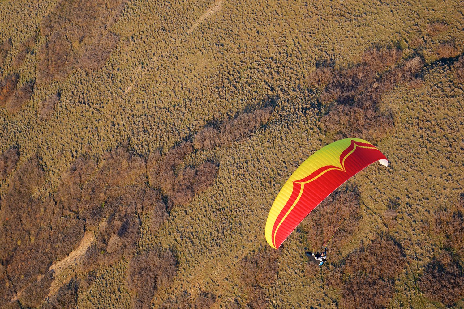 デルタ３ | Ozone Paragliders