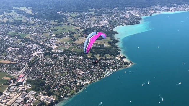 Seiko and the Delta 4