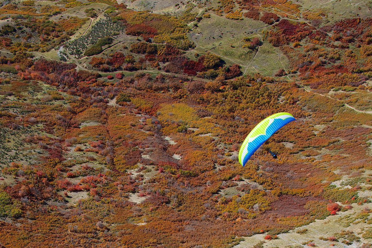 スイフト4 | Ozone Paragliders