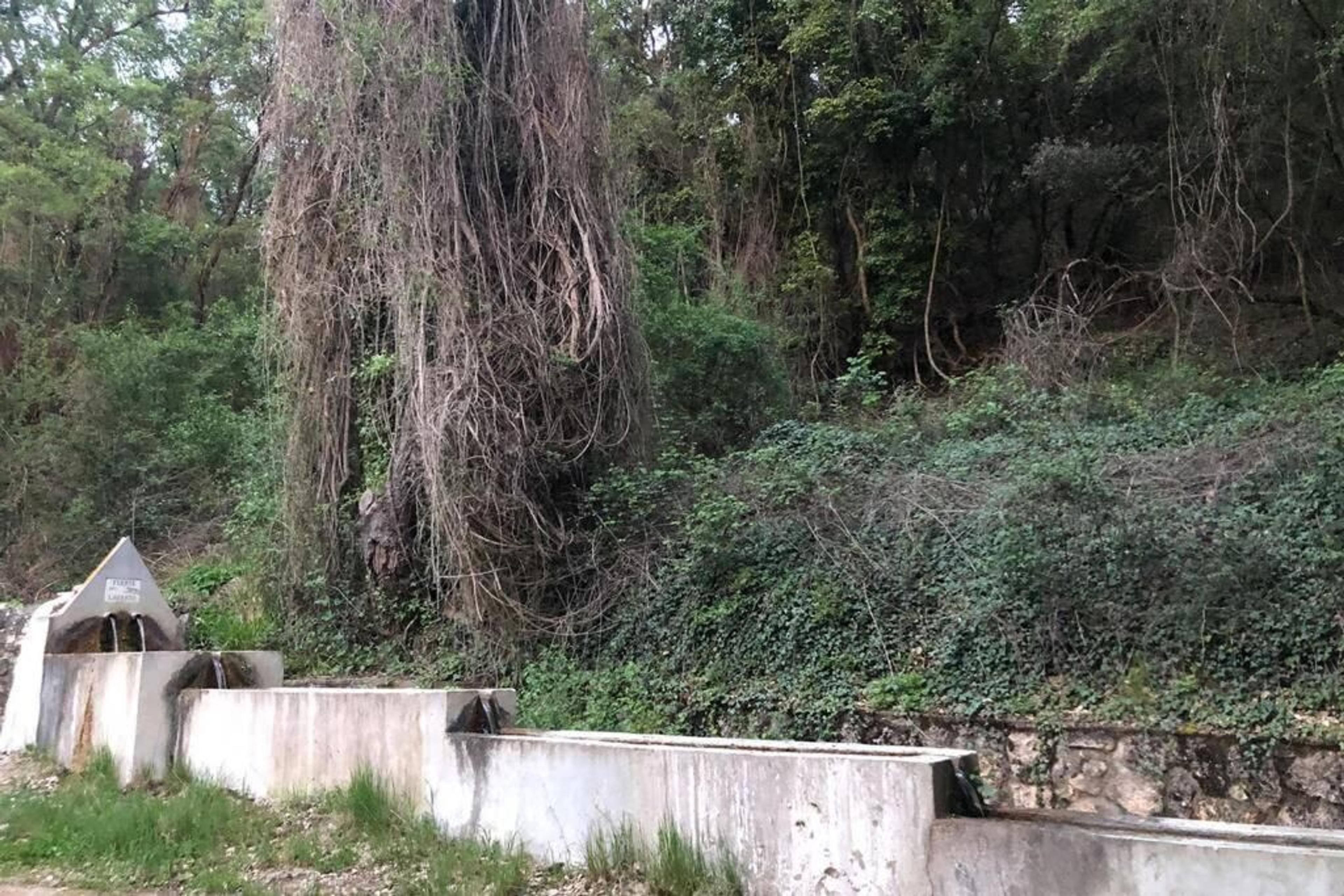 El pueblo de Irueste