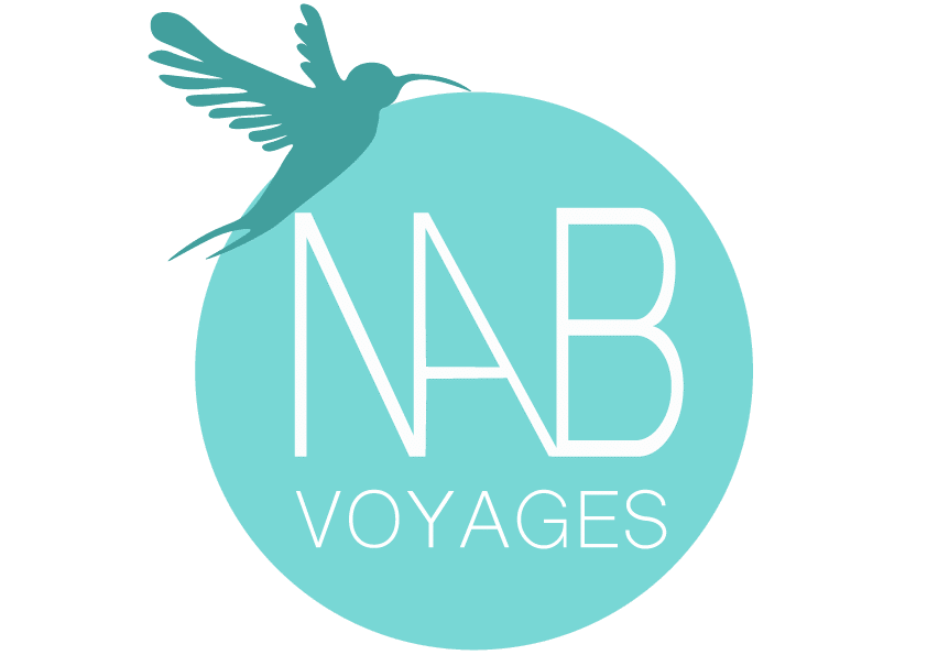 NAB VOYAGES logo with a turquoise hummingbird and white text on a turquoise circle.