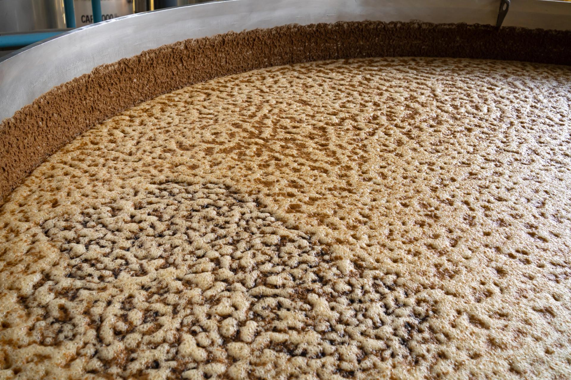 Engineering Fermentation in Distilleries
