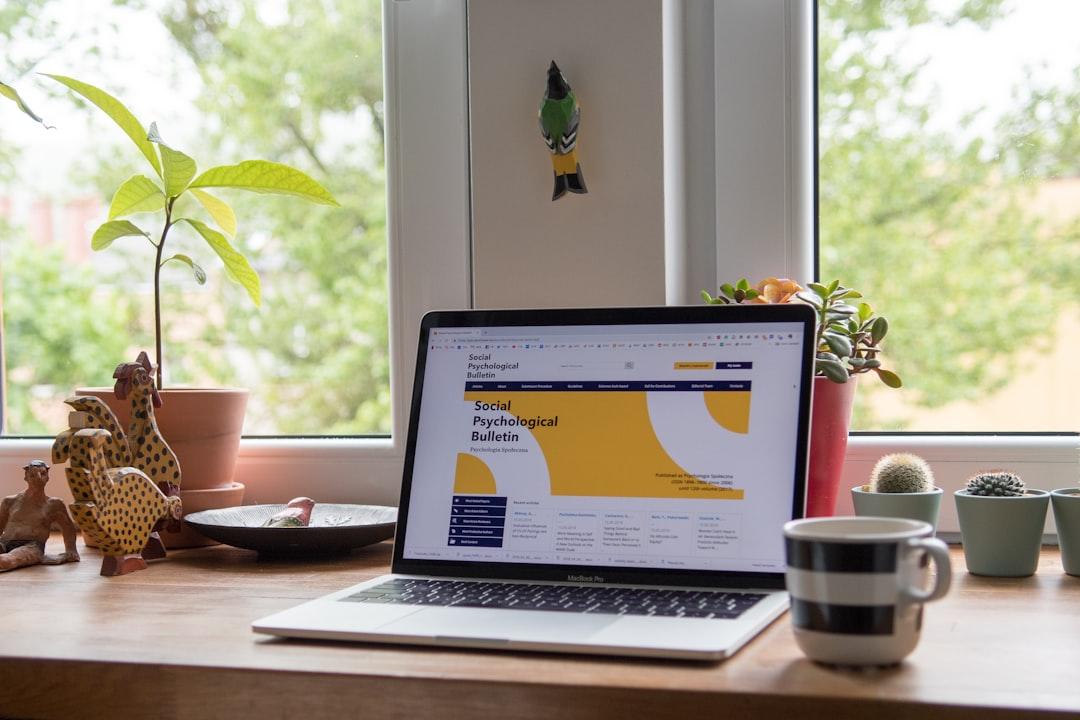 Affordable SEO Services: How to Get Real Results on a Sub-$1k Budget — cover illustration