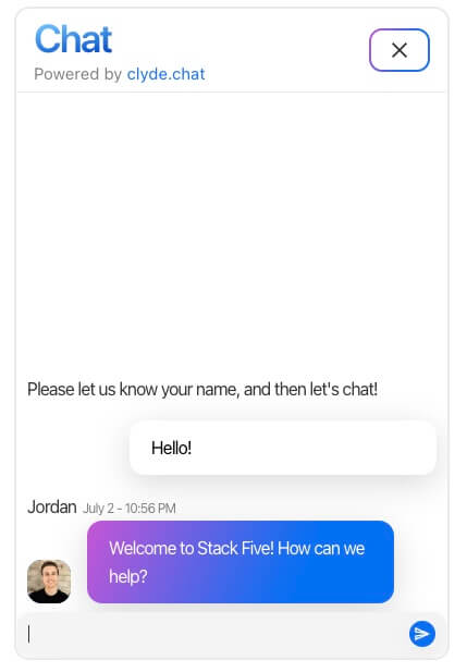 The chat interface