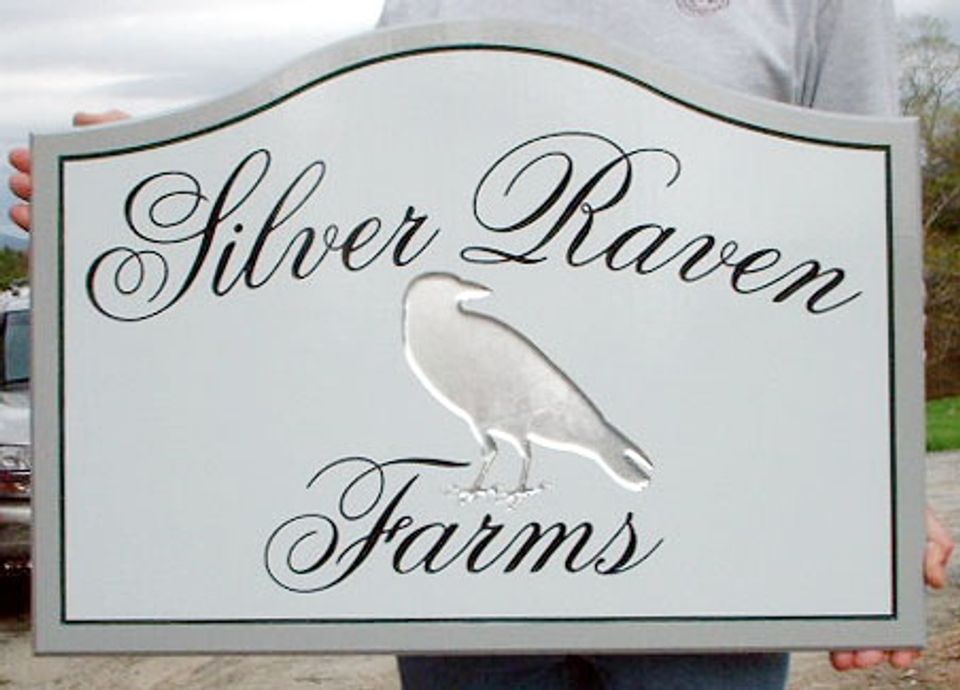 !Silver Raven