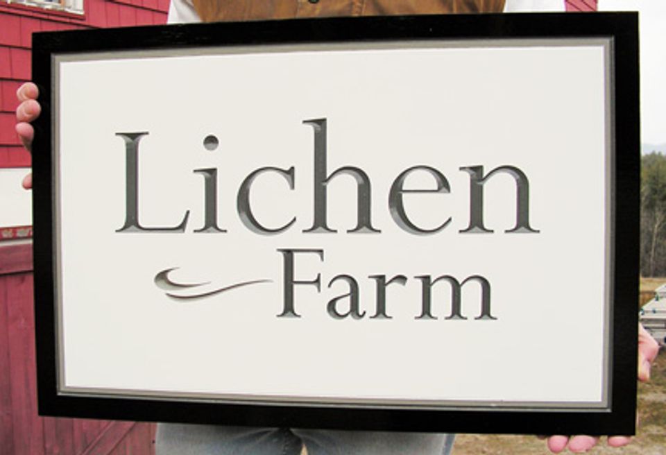 lichen