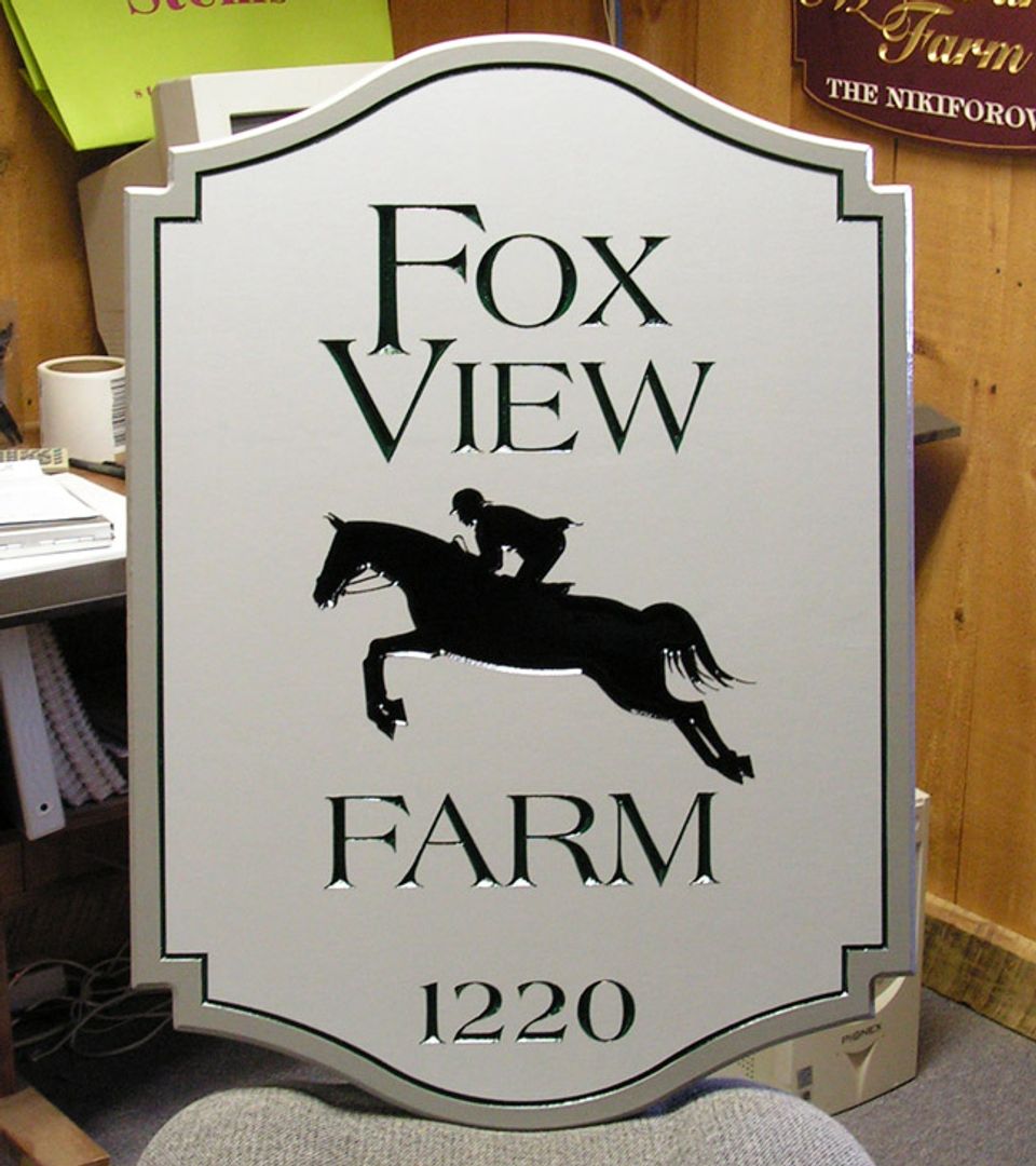 Fox View