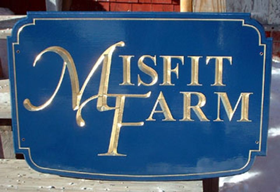 MISFIT