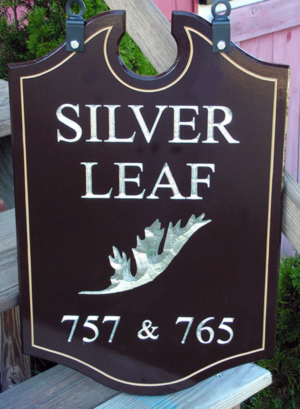 silverleaf