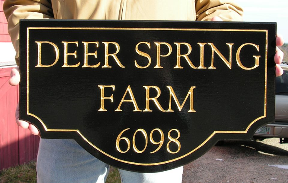 Deer Spring
