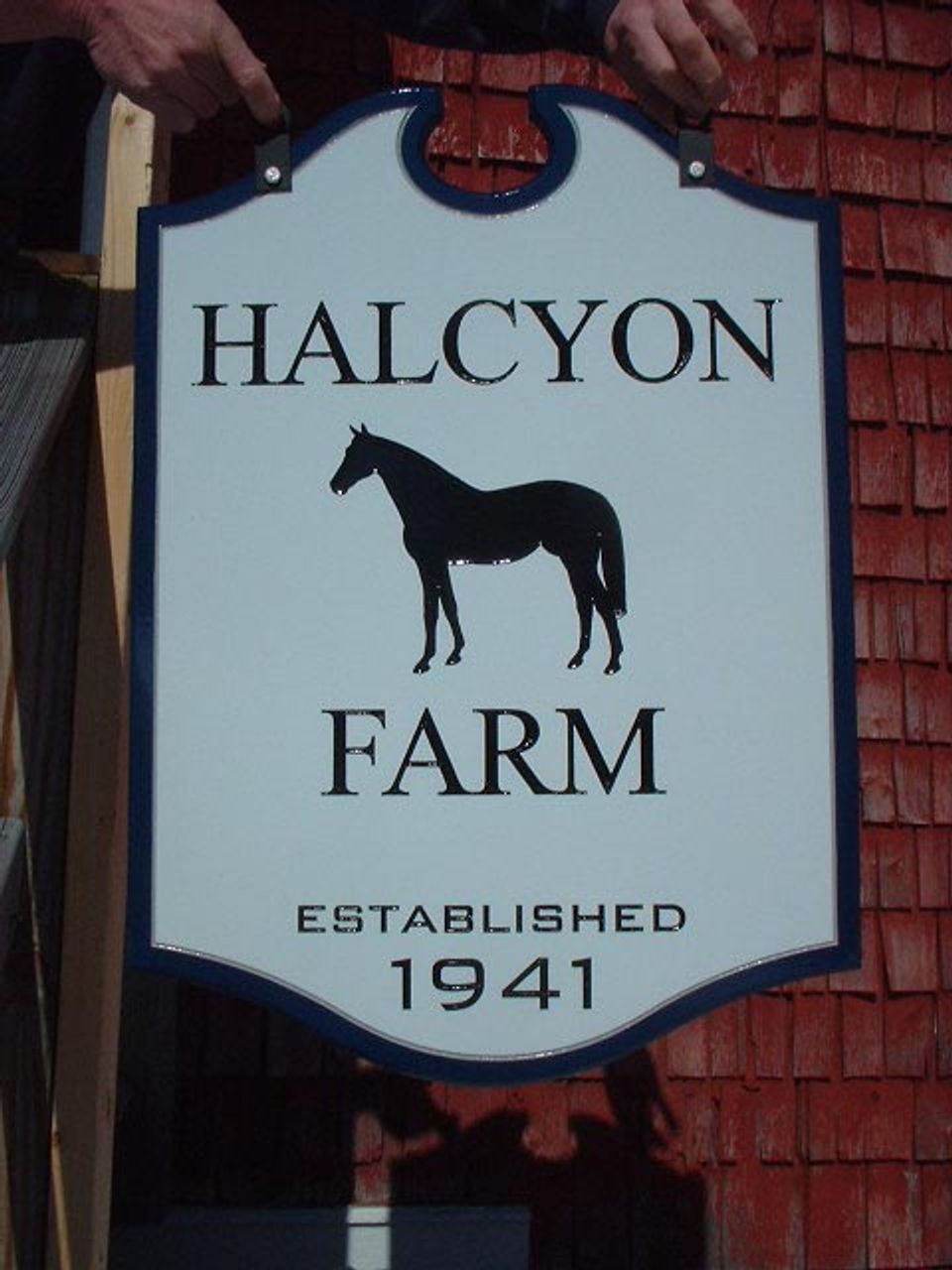 Halcyon 2