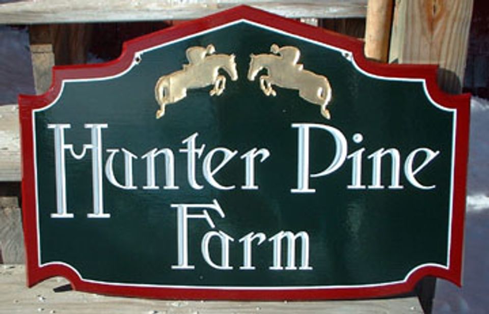 HUNTER PINE