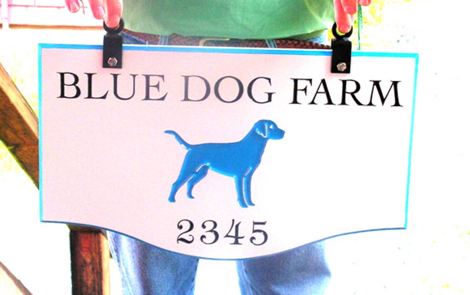 Blue Dog