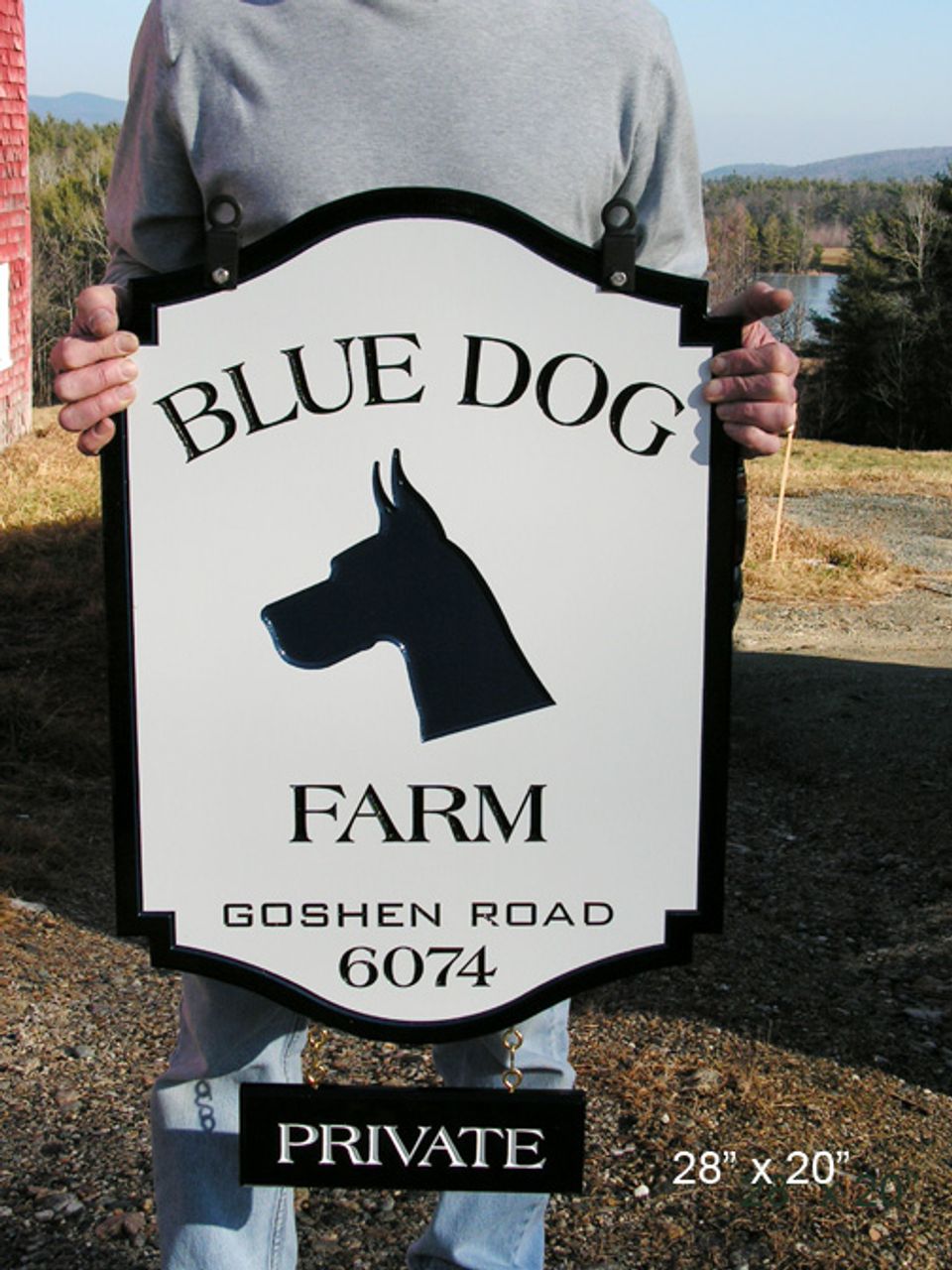 Blue dog