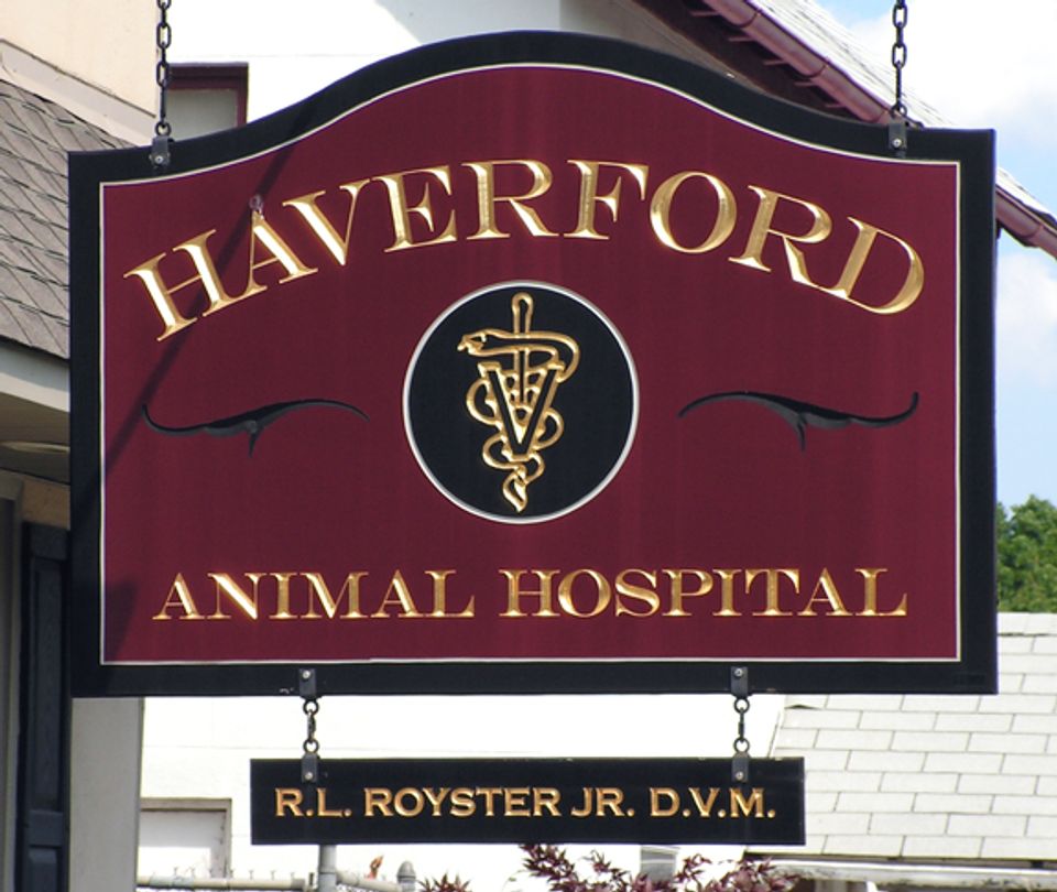 haverfordvet