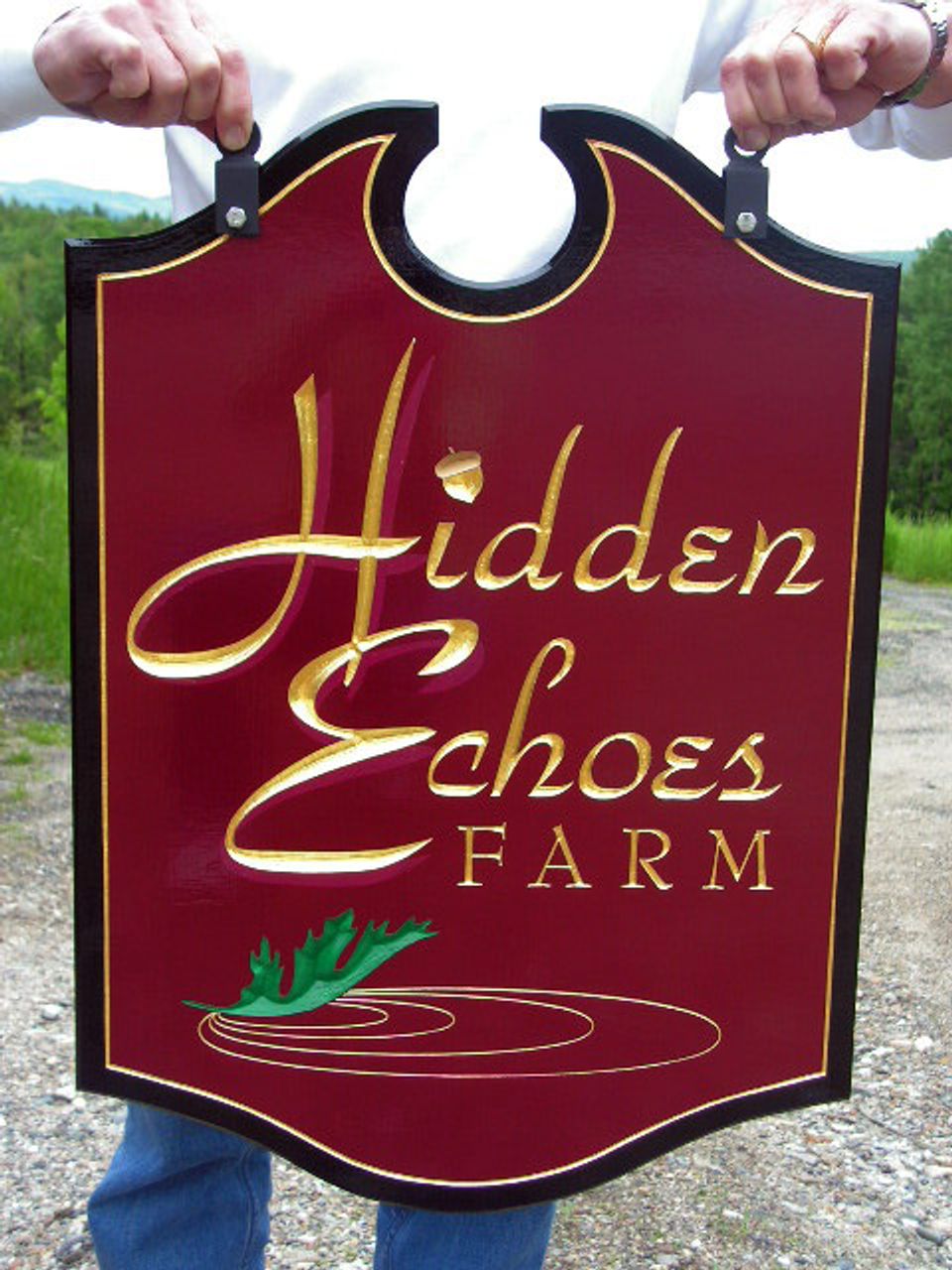 Hidden Echoes