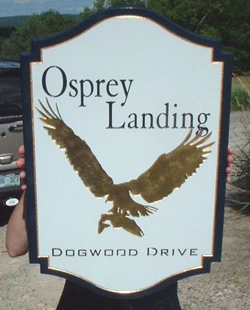!Osprey