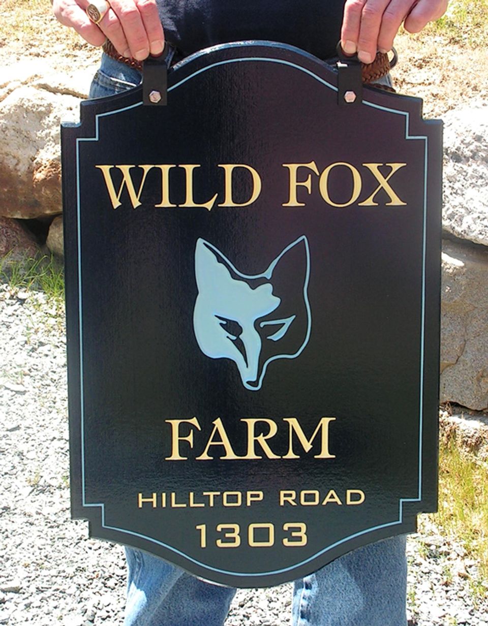 Wild Fox