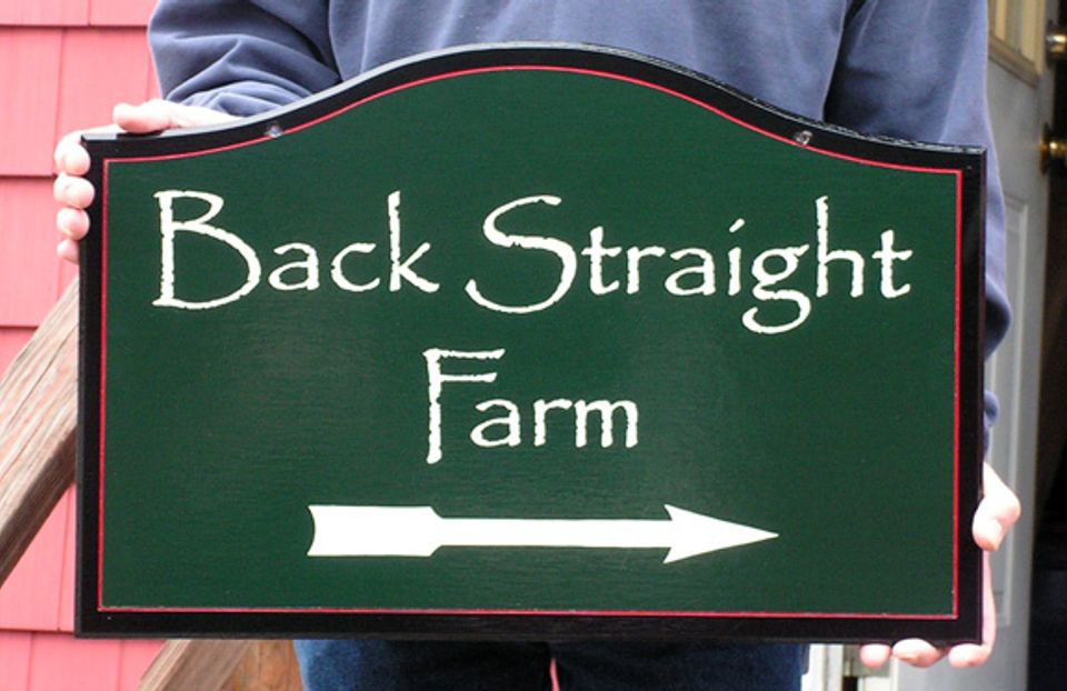 back arrow