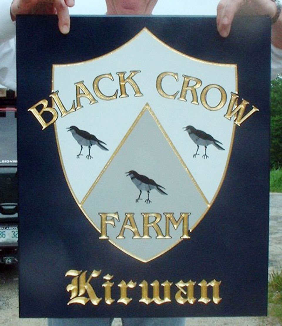 Black Crow