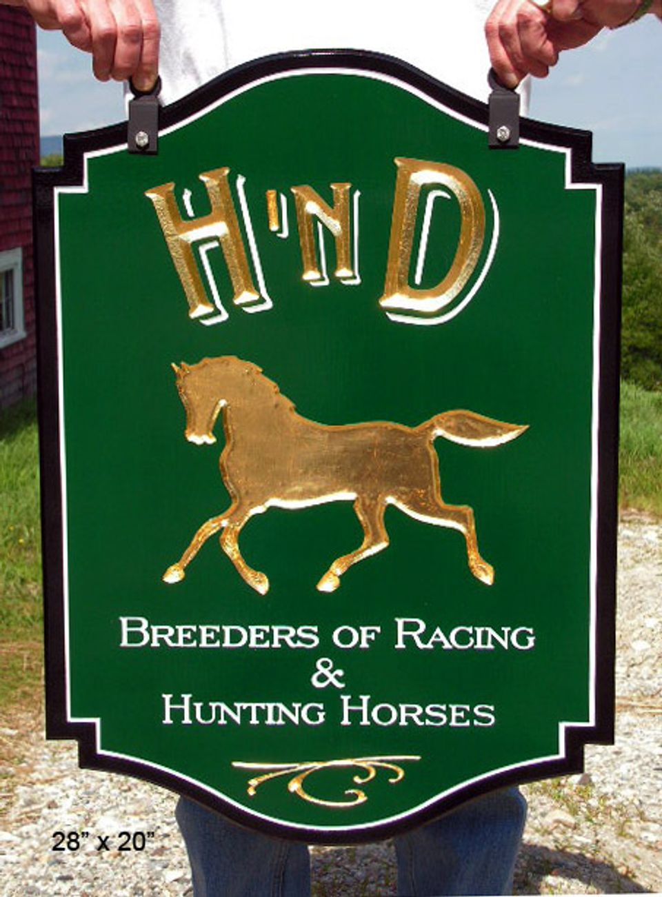 H&D