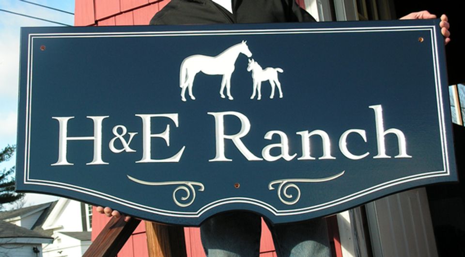 H and E