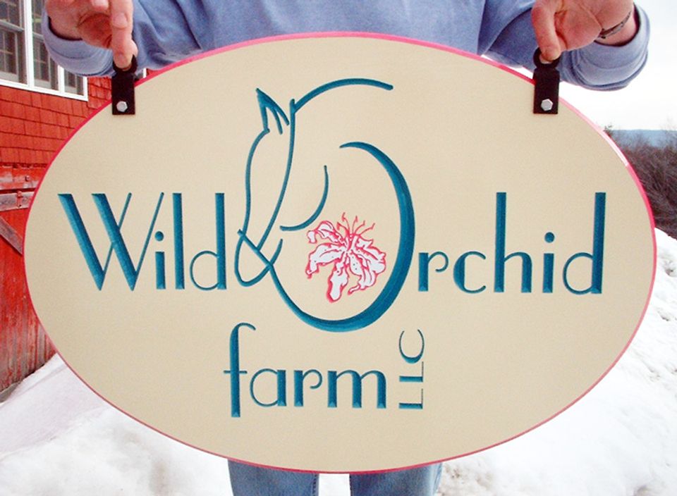 Wild Orchid