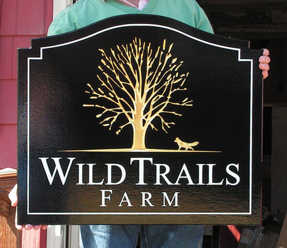 Wild trails