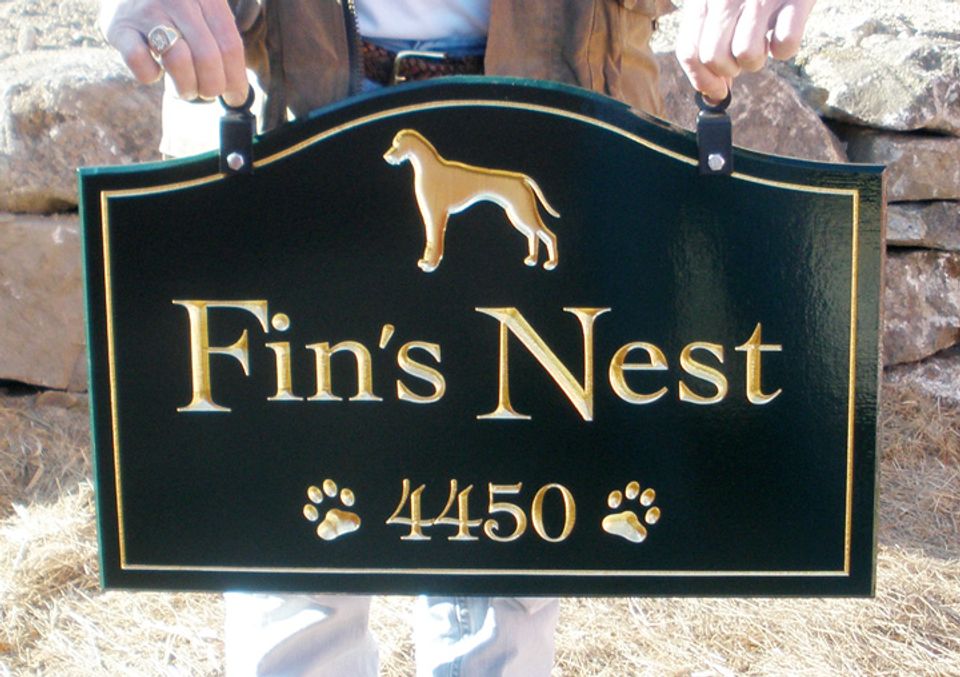 Fins Nest