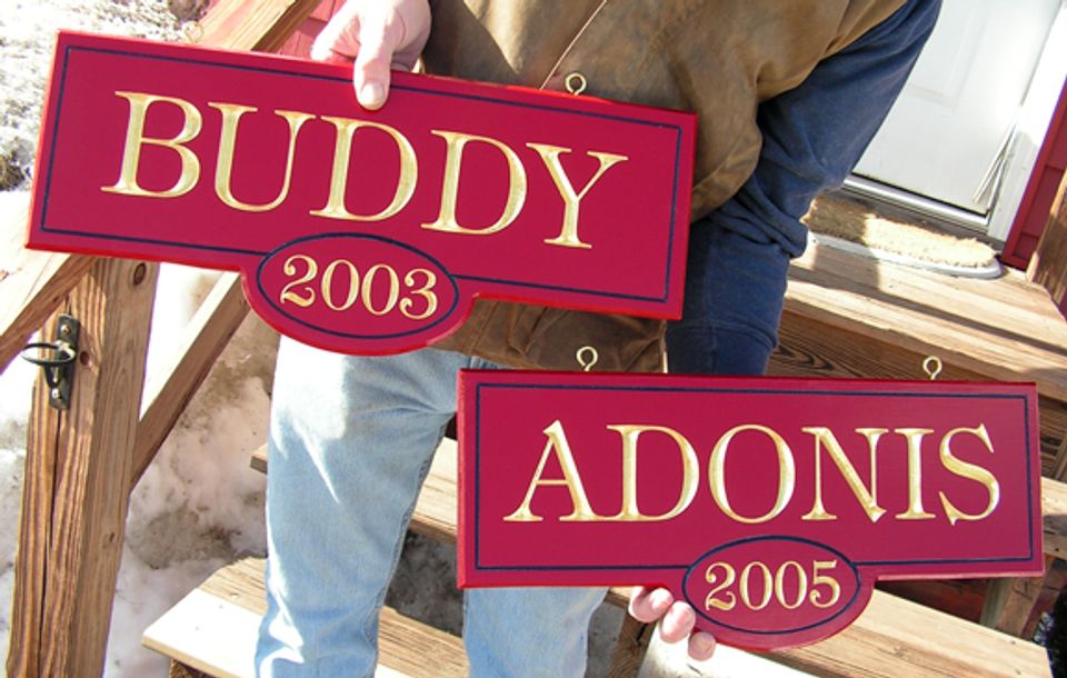 BuddyAdonis
