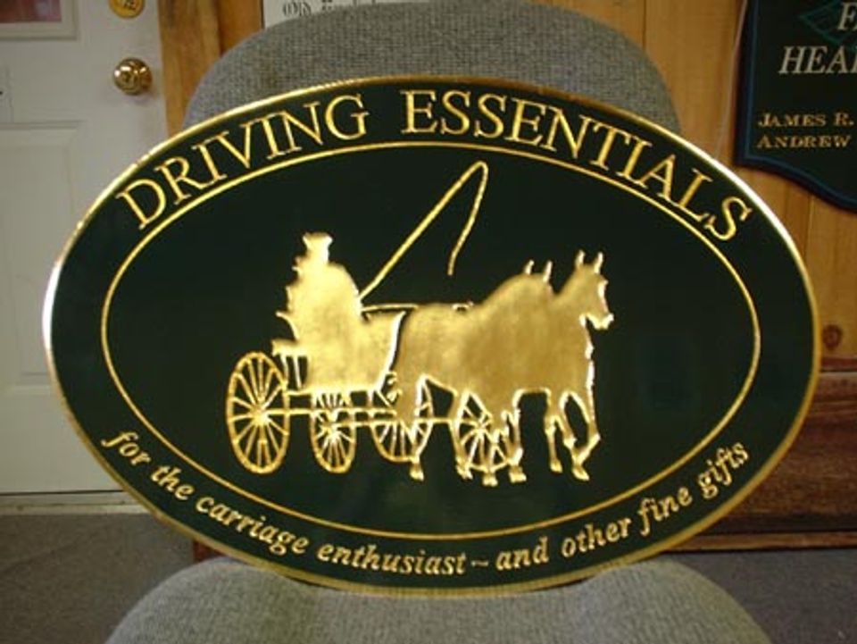 Driving Essentials