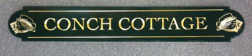 conch