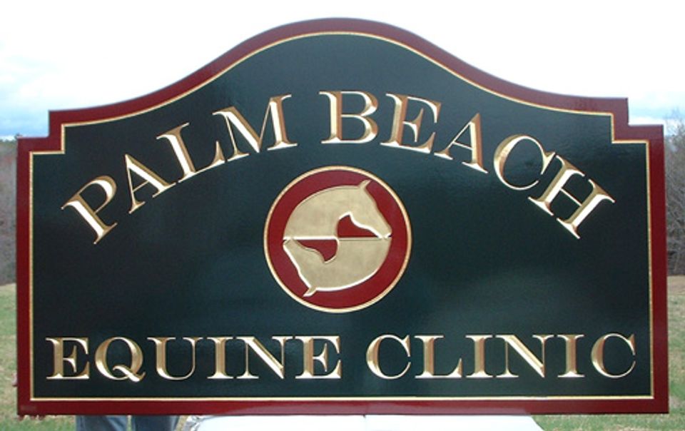 Palm Beach Equine Web