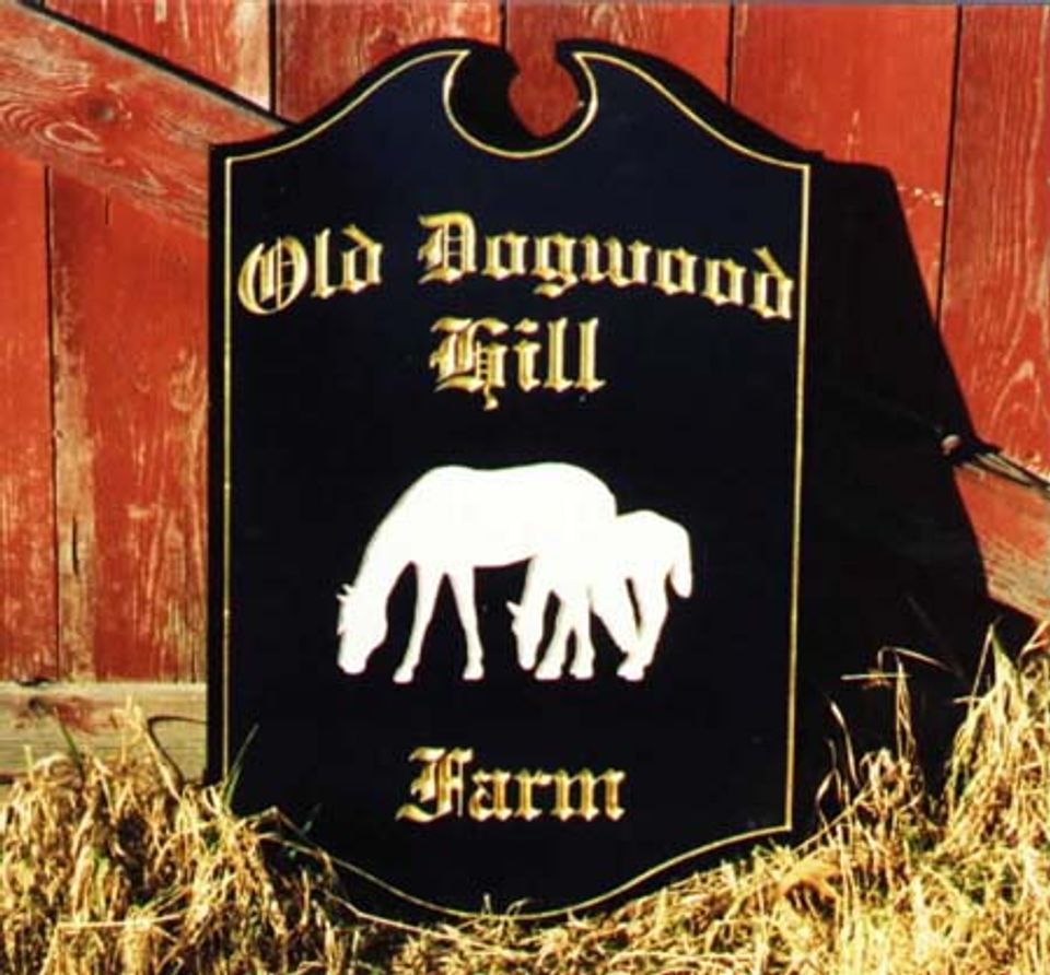 OLDDOGW