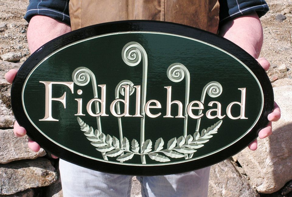 Fiddlehead