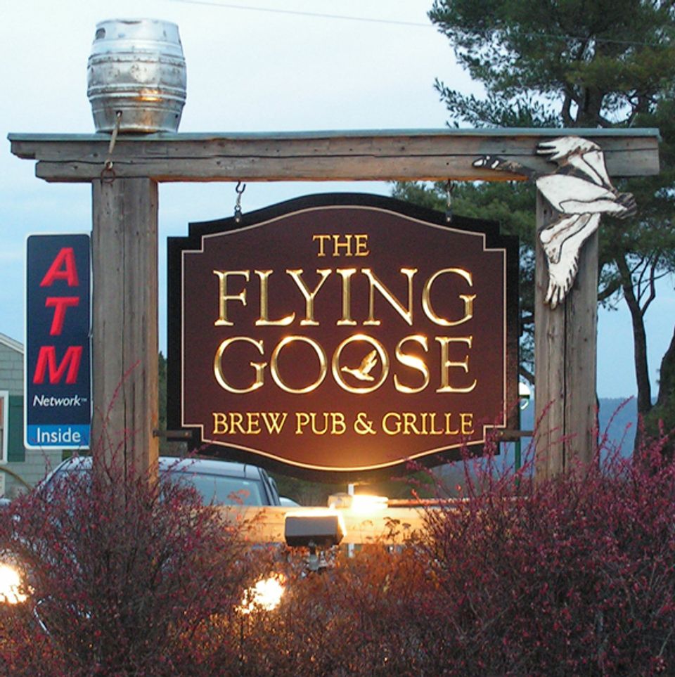 flying goose