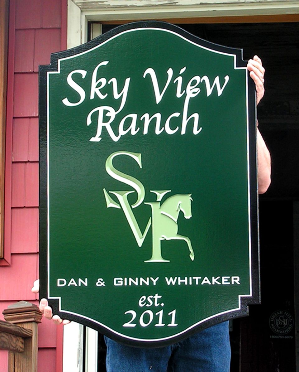 Sky View