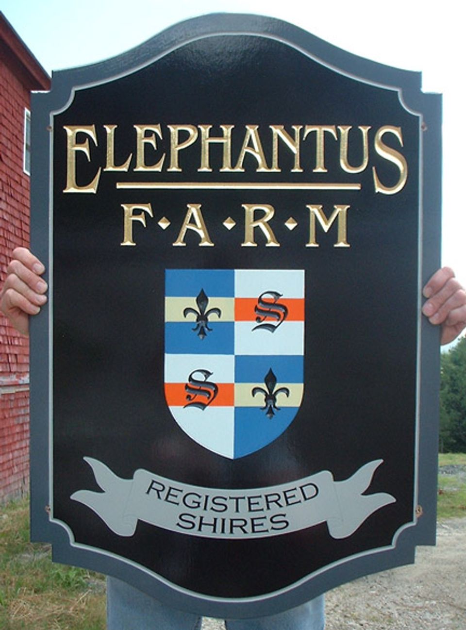 Elephantus