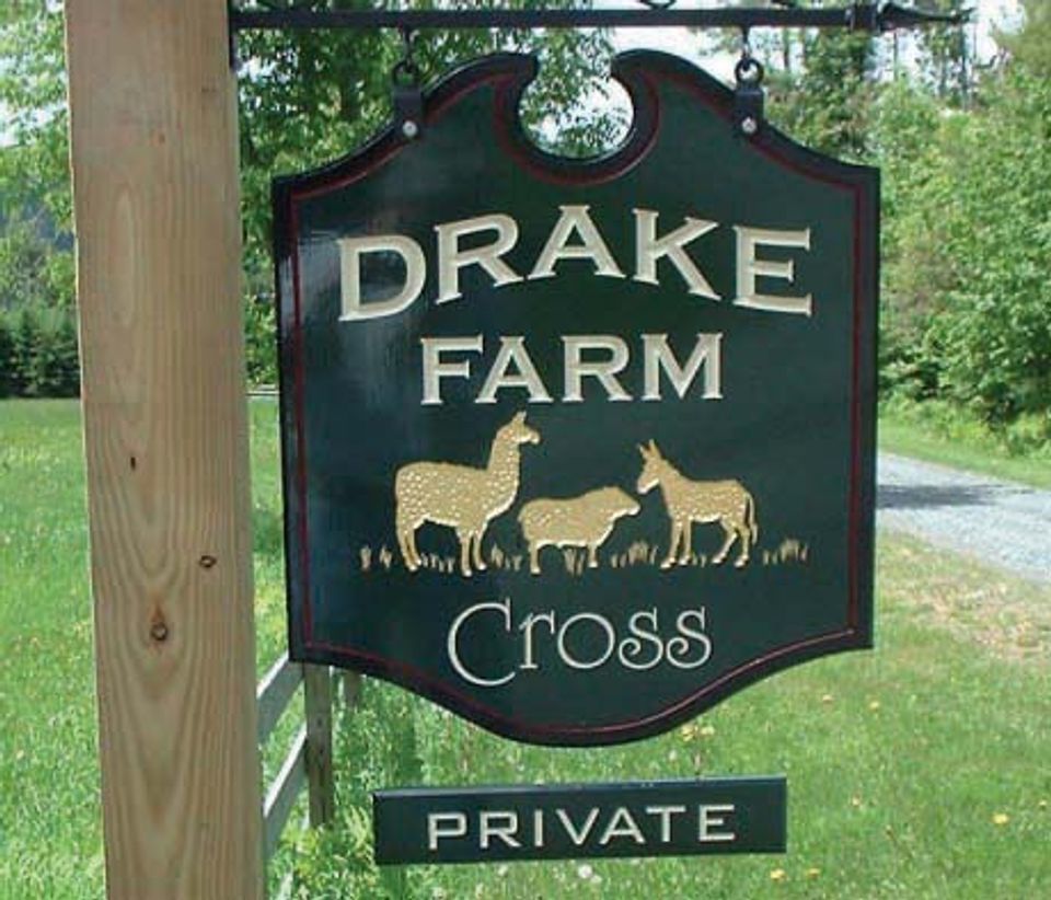 Drake