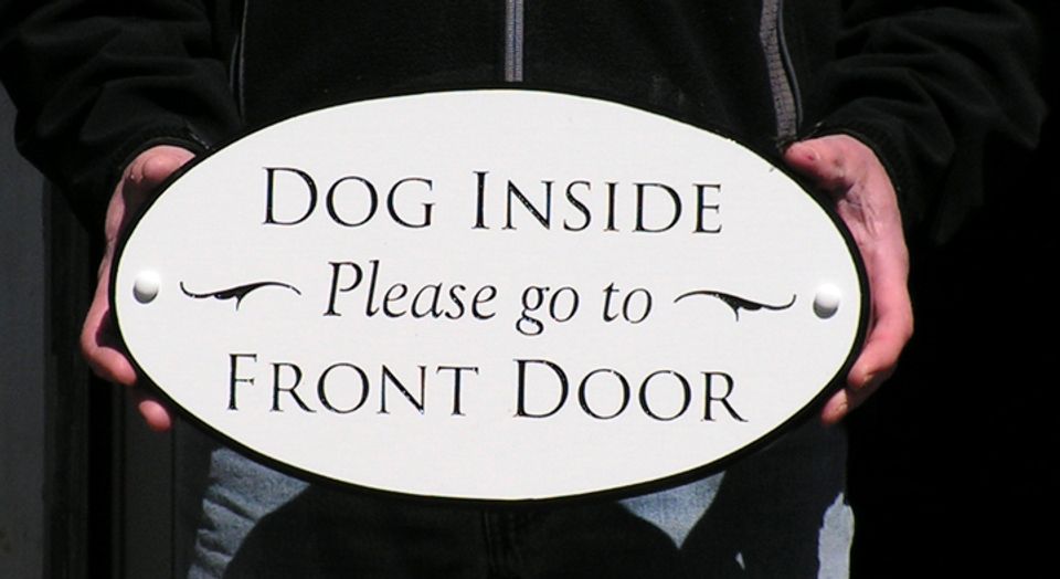 dog inside