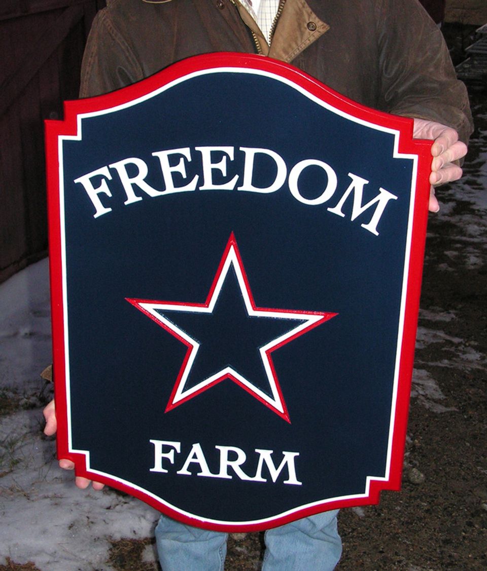 Freedom