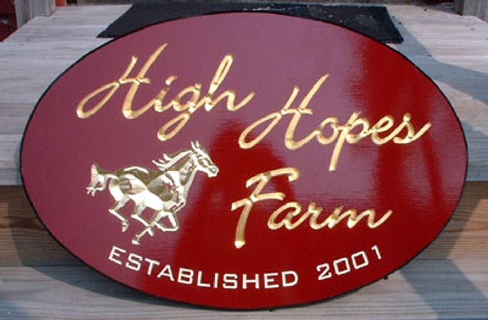 High Hopes