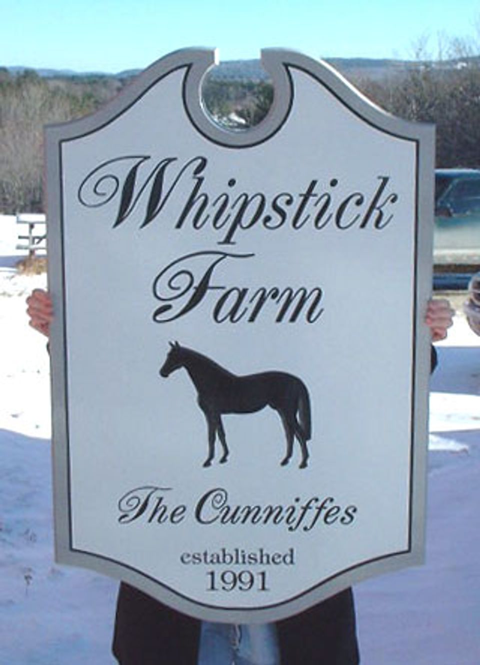 !Whipstick