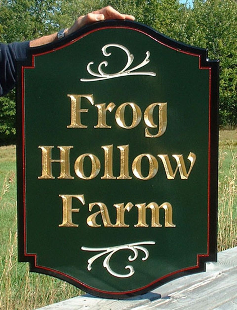 Frog Hollow