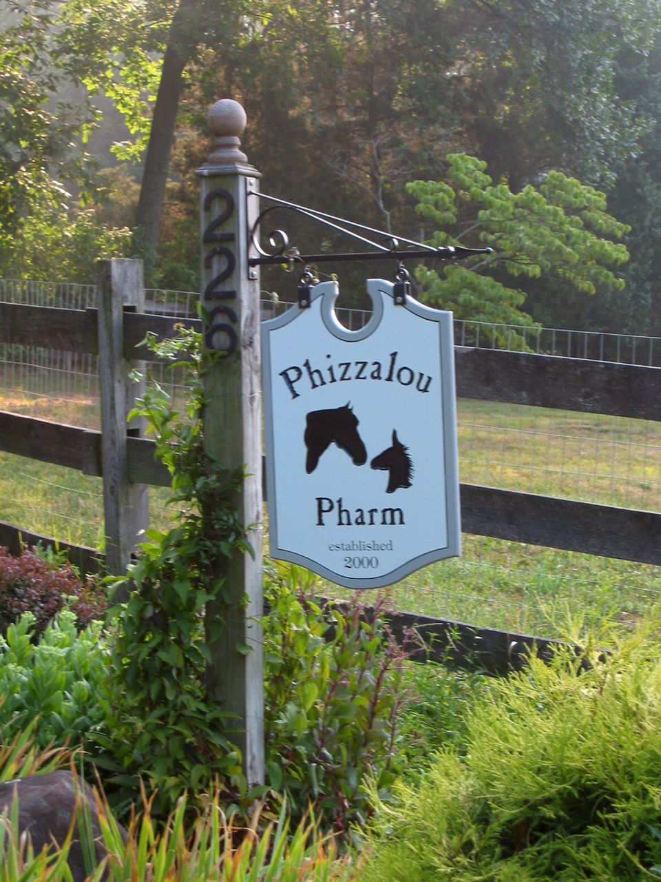 Phizzalou 2