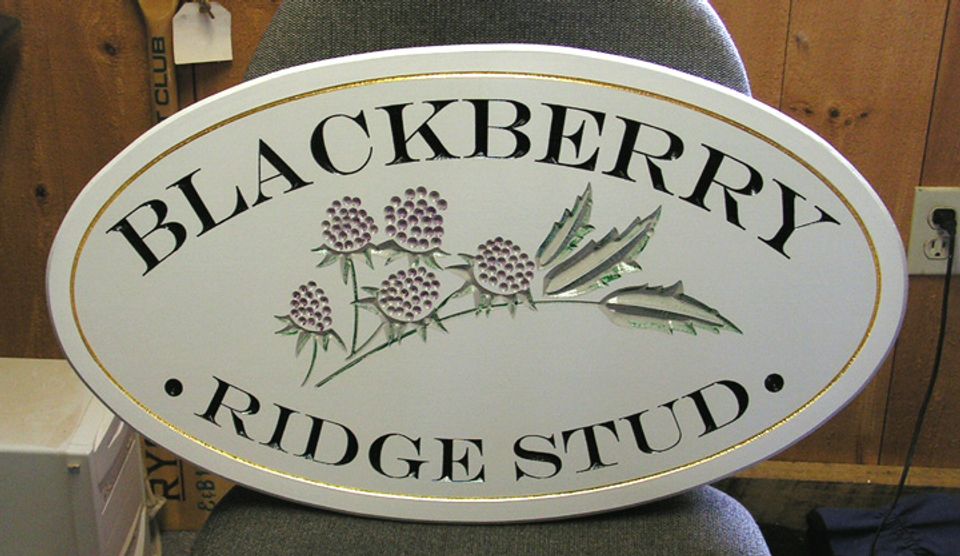 blackberry