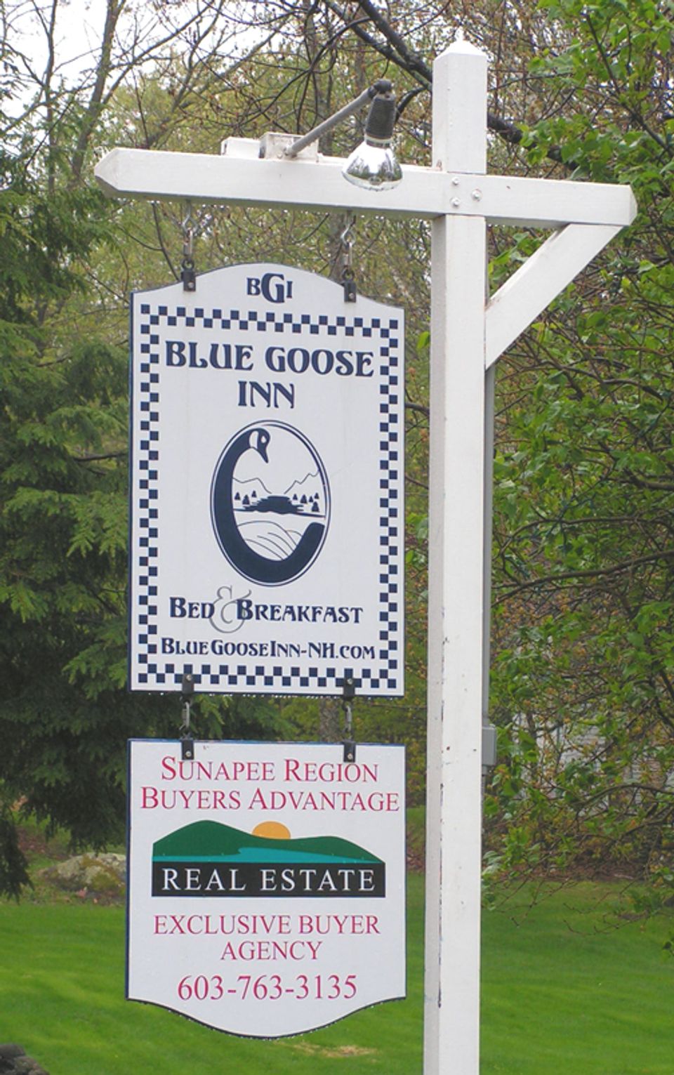 Blue Goose