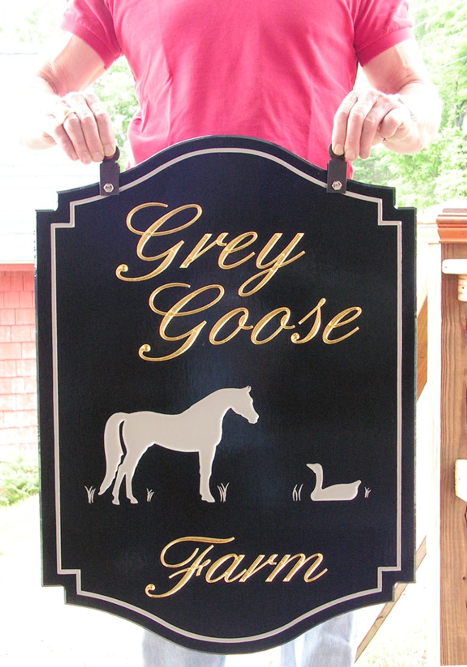 greygoose2
